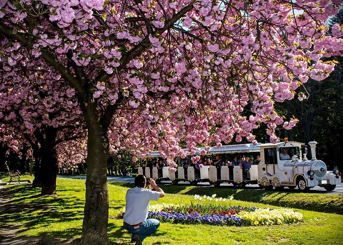 Apartament Schoene In By Interhome *