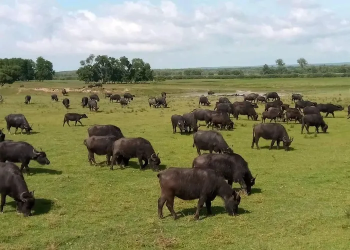 Schoene In By Interhome Apartament Zalakaros